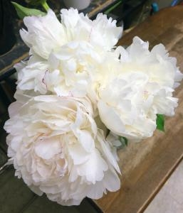 白い洋芍薬とても綺麗です！！｜「国会花苑」　（東京都千代田区の花キューピット加盟店 花屋）のブログ