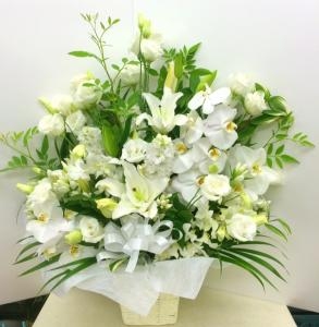 白い胡蝶蘭を入れた枕花をお届けしました。｜「国会花苑」　（東京都千代田区の花キューピット加盟店 花屋）のブログ
