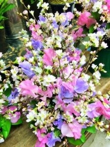 少し早いのですが…「桜」！！｜「国会花苑」　（東京都千代田区の花キューピット加盟店 花屋）のブログ