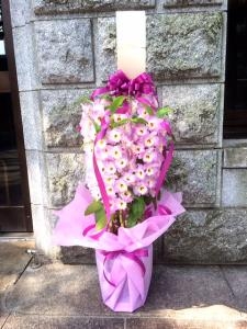 コンサート会場にデンドロビューム鉢をお届けしました！！｜「国会花苑」　（東京都千代田区の花キューピット加盟店 花屋）のブログ