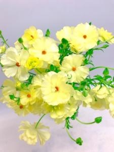 ラナンキュラス黄色「ハリオス」凄いです！！｜「国会花苑」　（東京都千代田区の花キューピット加盟店 花屋）のブログ